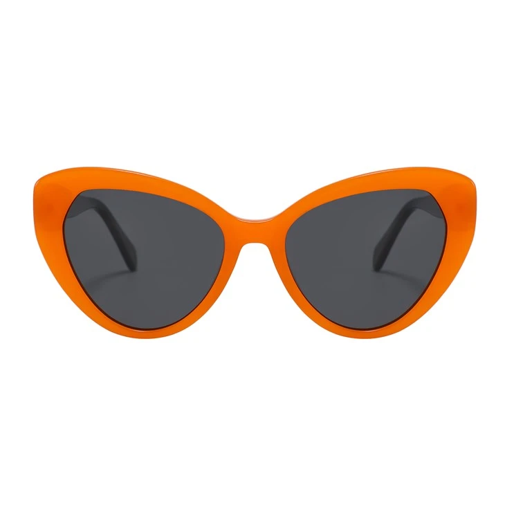 sunglasses organizer